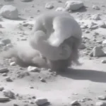 מנהרות הטרור של חמאס: החשיפה המלאה של מסתרי התת-קרקע בעזה