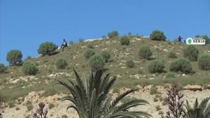המתיחות בשומרון: המהלך המפתיע של הפלסטינים – מה עומד מאחורי תפיסת הנשק?