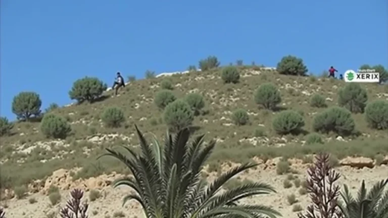 המתיחות בשומרון: המהלך המפתיע של הפלסטינים - מה עומד מאחורי תפיסת הנשק?