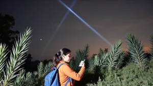 הפרשה שמסעירה את כלכלת ישראל: איך הטכנולוגיה משפיעה על יוקר המחיה?