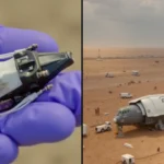 הסיפור שמאחורי חליפות צלילה למקקים: הניסוי המדהים שעשוי להציל חיים